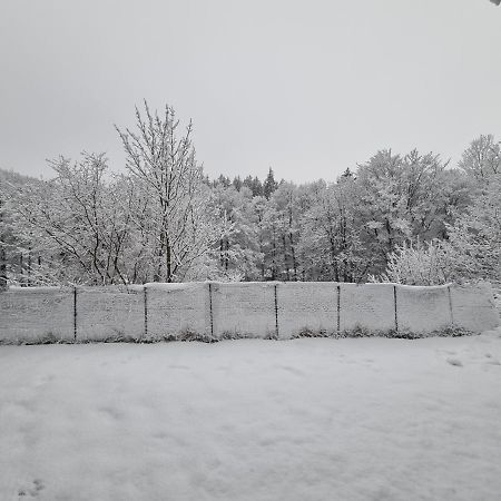 Ferienwohnung Schneeberg Виллинген Экстерьер фото